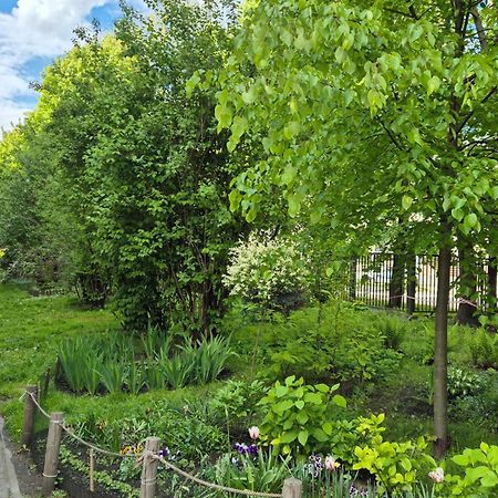 Apartament Daszynskiego Kraków Eksteriør billede
