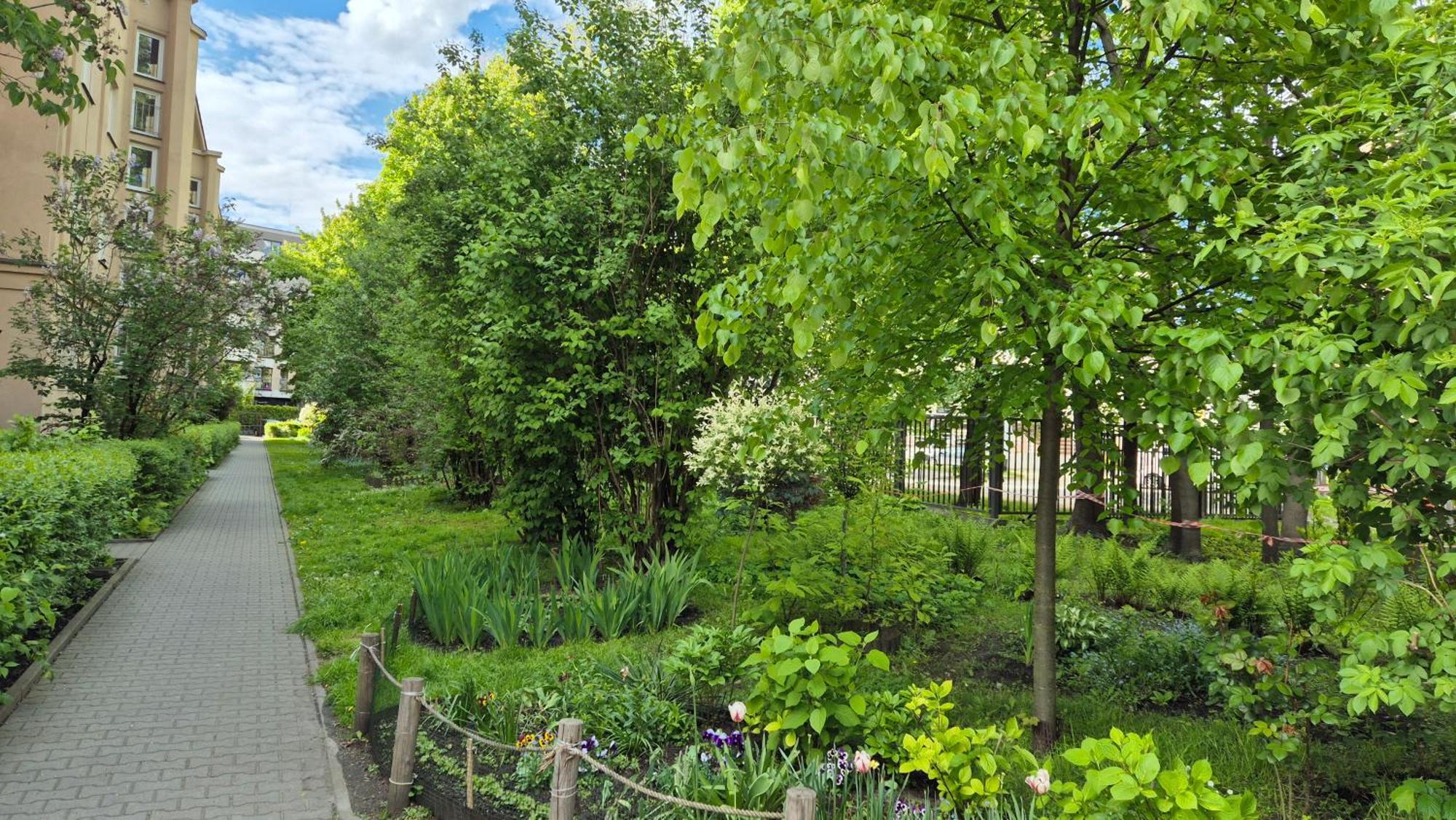 Apartament Daszynskiego Kraków Eksteriør billede